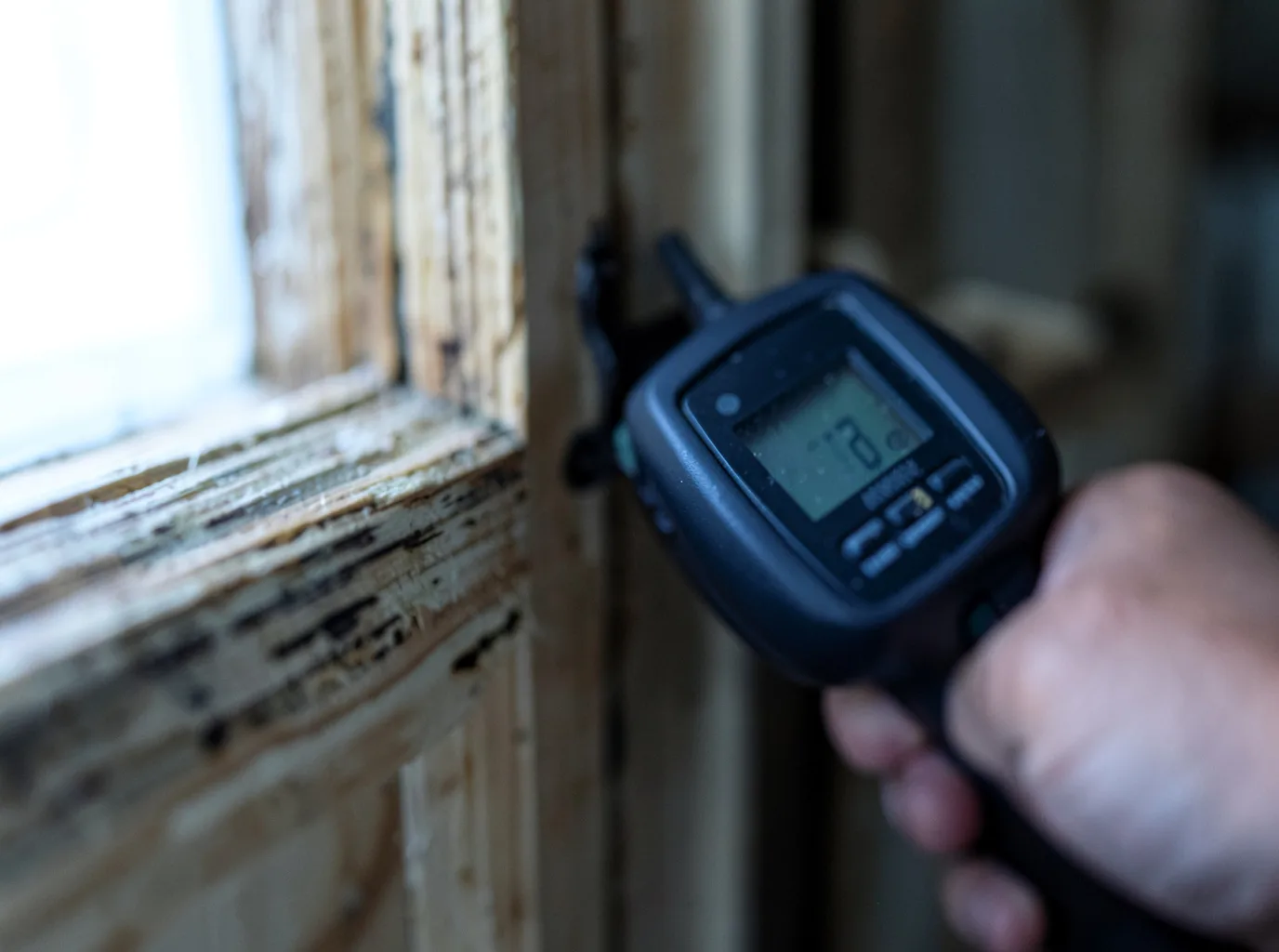 Moisture Inspection And Documentation in Orestes, IN